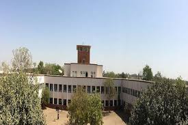 Sir Bhavsinhji Polytechnic Institute